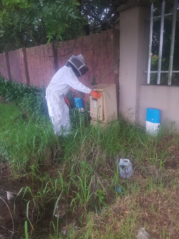 Exotic Pest Control - Specials