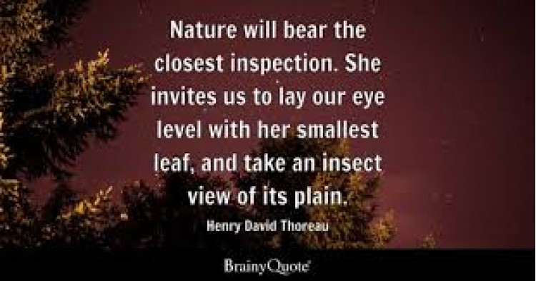 Pro Inspect Home Inspections (Pty) Ltd - Specials