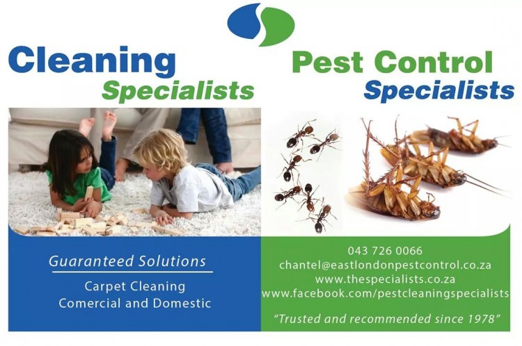 The Specialists (Pest Control and Cleaning) - Specials